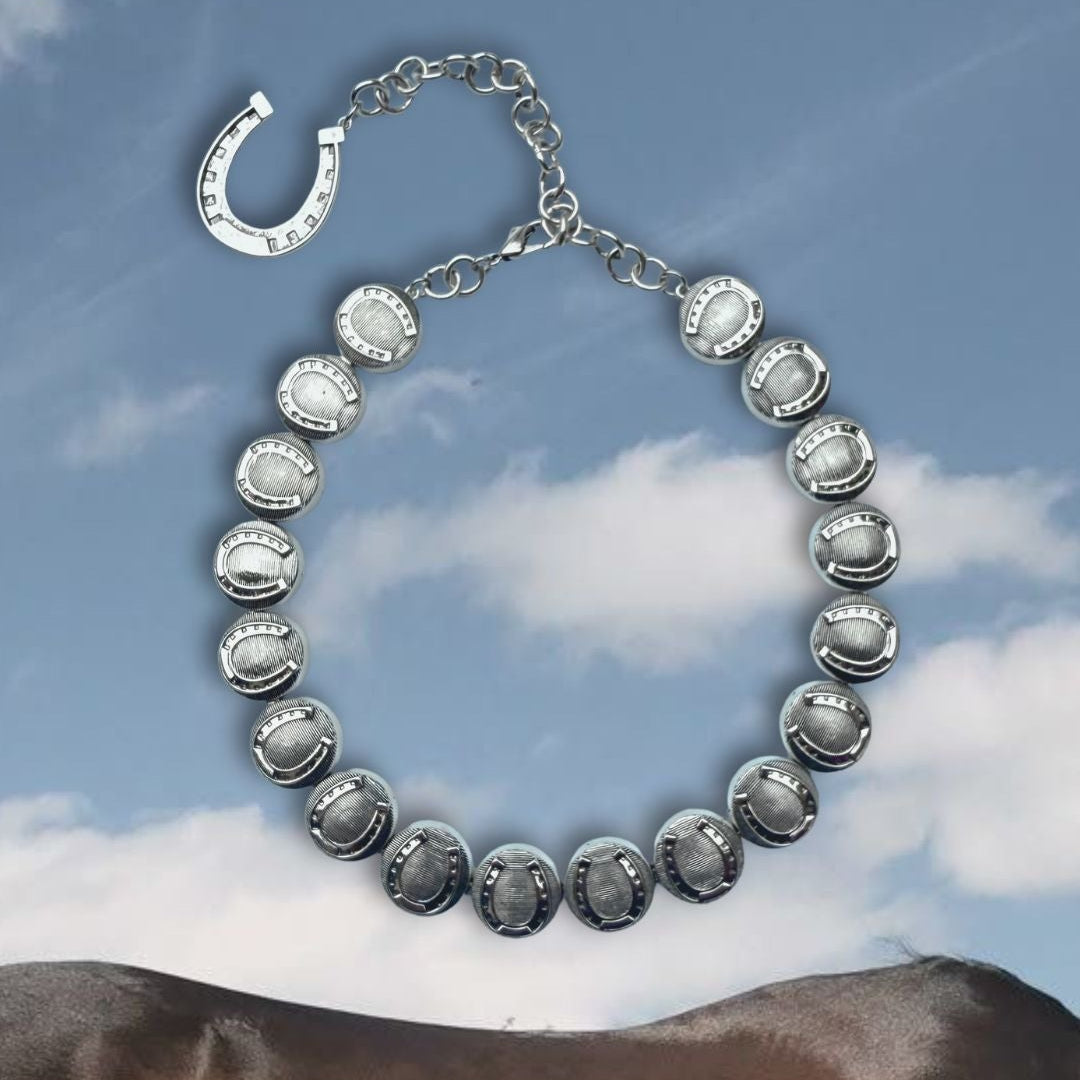 Horseshoe Medallion Necklace- Silver